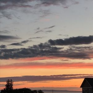 Meet your Posher, Cecilia